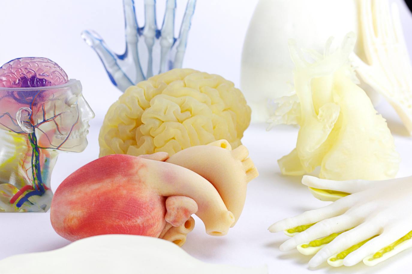 Varios modelos desarrollados por Aiju, de corazón, cerebro, manos...