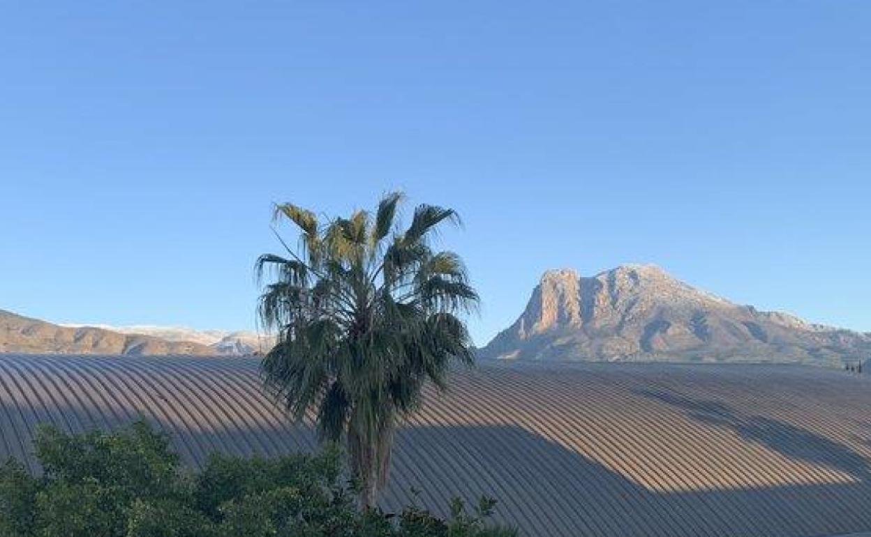 El Puig Campana y la sierra Aitana vistas por una vecina desde La Vila Joiosa.