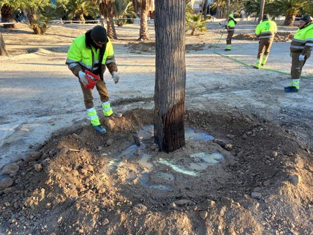 Fotos: La nueva vida de las melias
