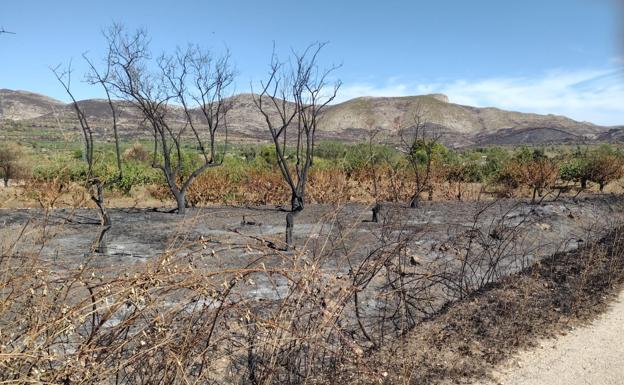 Indignación en la Vall d&#039;Ebo: Seis meses sin noticias de las ayudas tras el incendio que arrasó más de 12.000 hectáreas