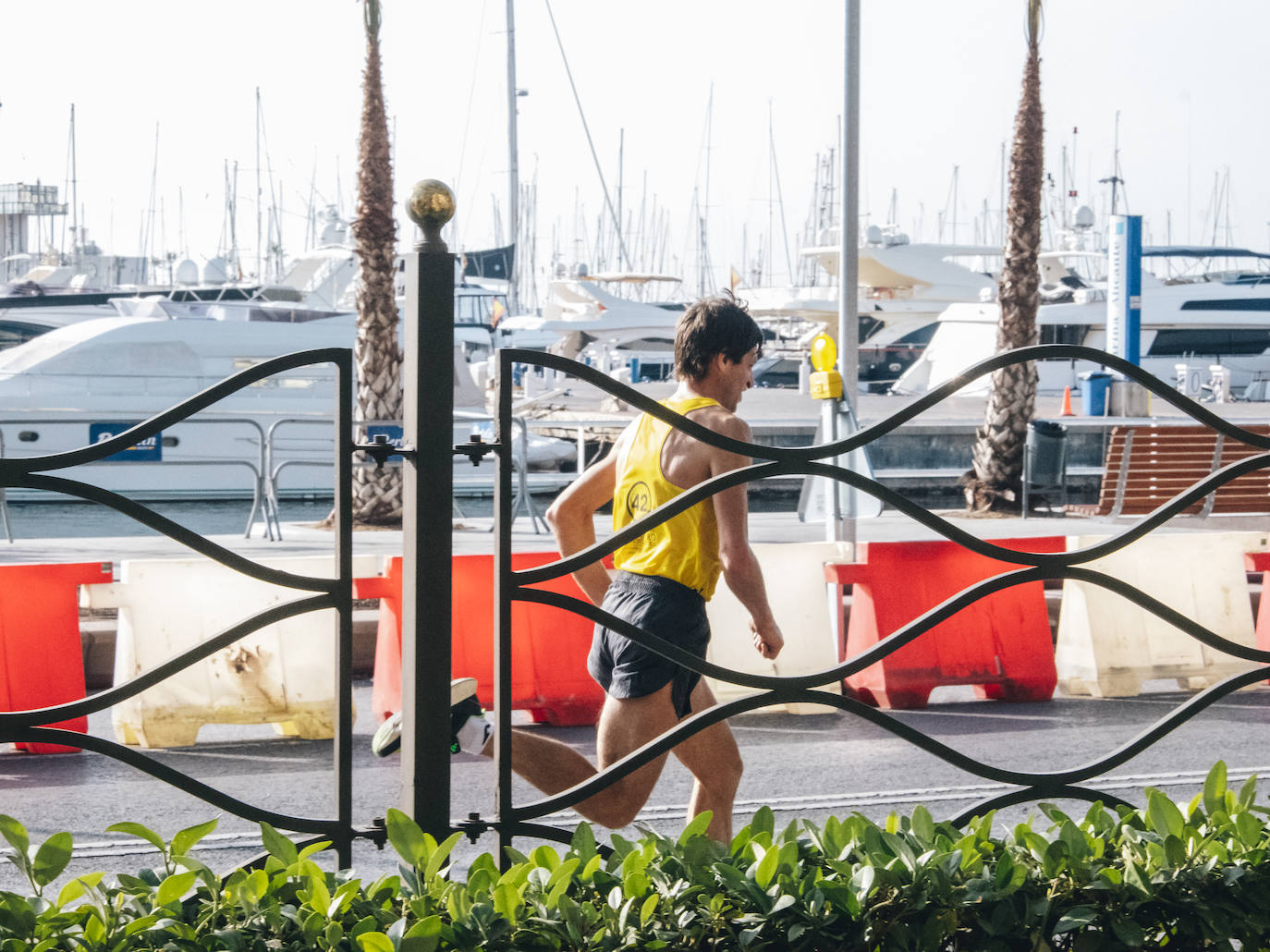 Fotos: Más de 2.500 personas corren la Media Maratón de Alicante