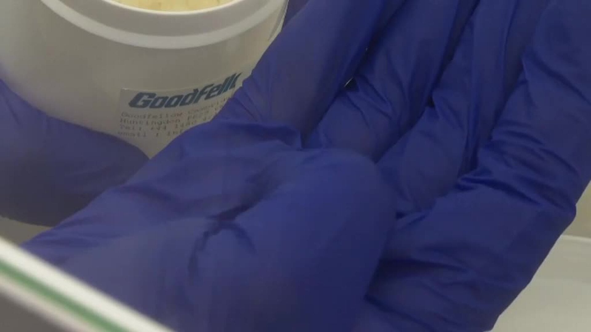 La batalla contra los residuos plásticos, principal objetivo del Programa Ambiental de la ONU