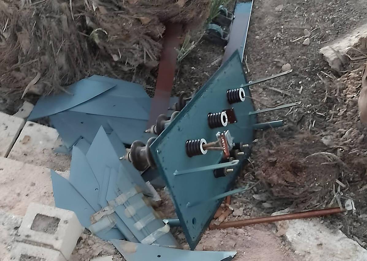 Imagen secundaria 1 - Destrozos en plantas de alcachofa y hurto del generador.