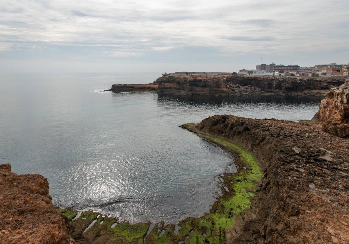 Cala de las Higuericas y de la Zorra de Torrevieja.