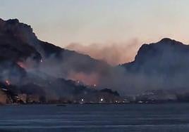 Incendio forestal en Altea.