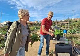 La concejal de Medio Ambiente del Ayuntamiento de San Vicente, Mercedes Torregrosa, en uno de los huertos urbanos.
