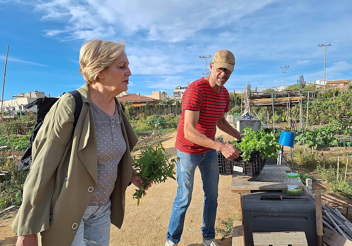 La concejal de Medio Ambiente del Ayuntamiento de San Vicente, Mercedes Torregrosa, en uno de los huertos urbanos.