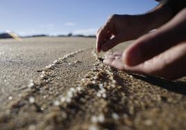 Persona recogiendo pellets en una playa de Galicia.