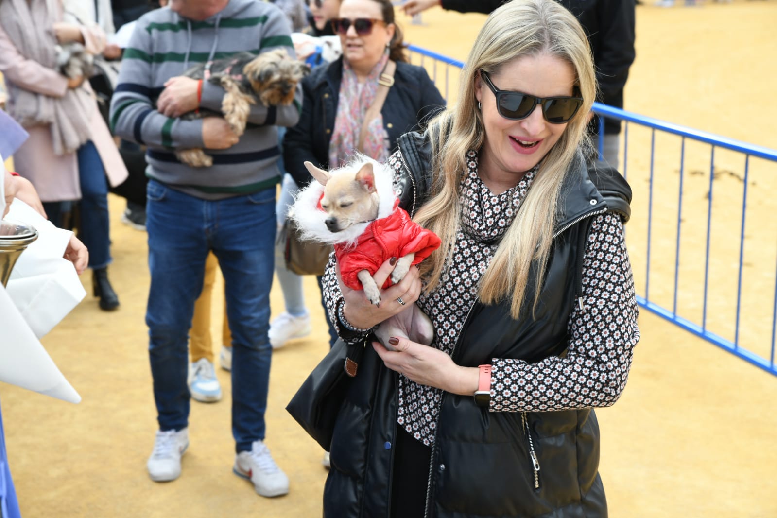 Las fiestas del Porrate de San Antón celebran su tradicional bendición de animales