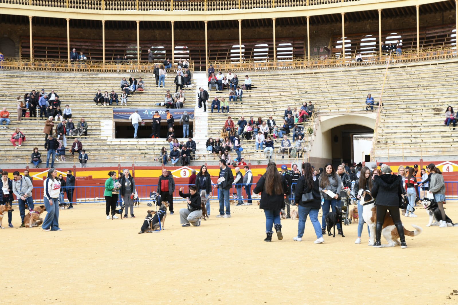 Las fiestas del Porrate de San Antón celebran su tradicional bendición de animales