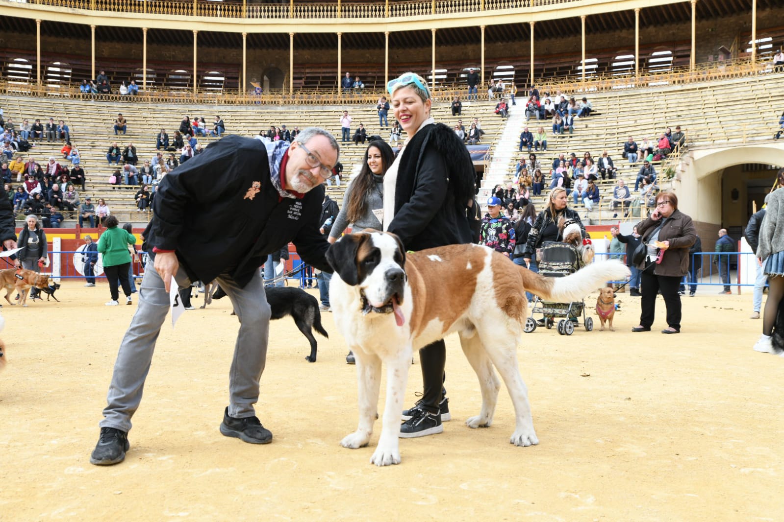 Las fiestas del Porrate de San Antón celebran su tradicional bendición de animales