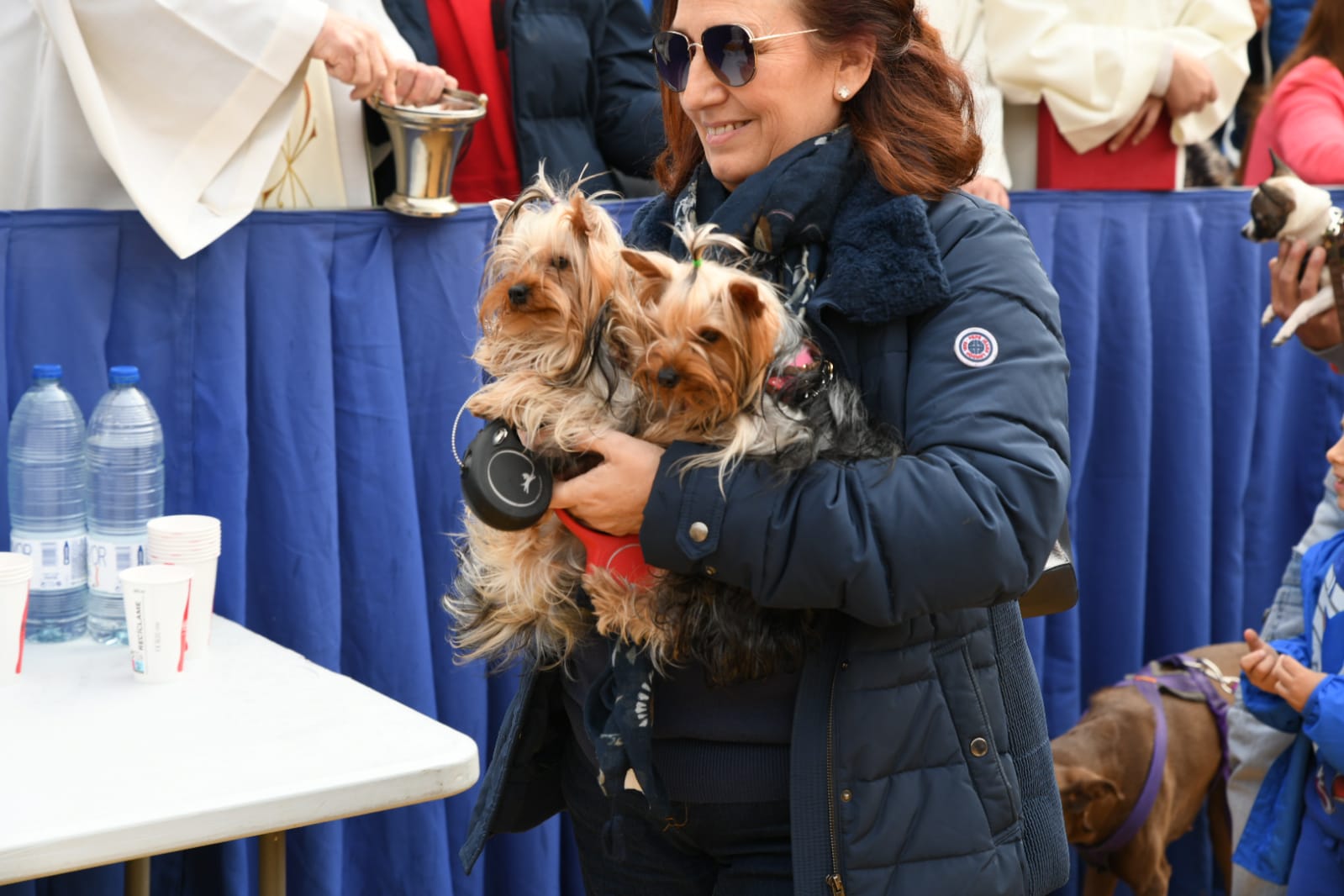 Las fiestas del Porrate de San Antón celebran su tradicional bendición de animales