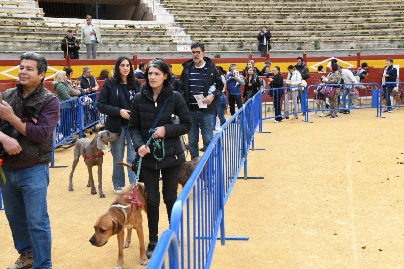 Las fiestas del Porrate de San Antón celebran su tradicional bendición de animales