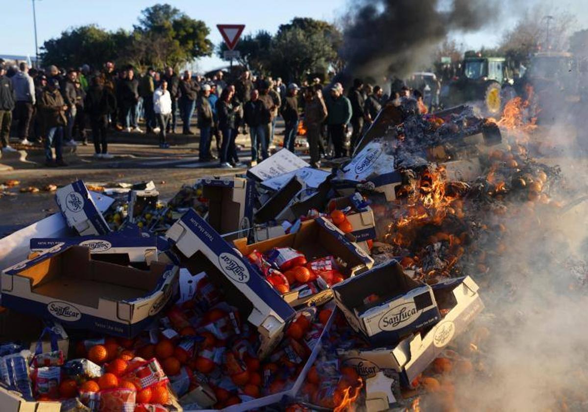 Agricultores franceses queman frutas españolas durante una manifestación.