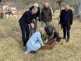 Plantación de la higuera en Castilla-La Mancha.