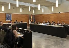 Sesión del pleno en el Ayuntamiento de San Vicent del Raspeig.