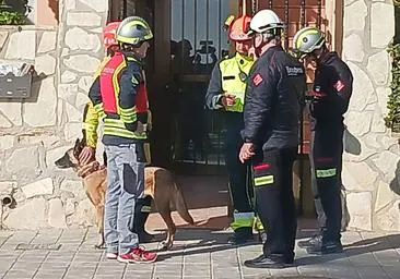 Perros especializados rastrean el edificio derrumbado de El Campello en busca de posibles víctimas