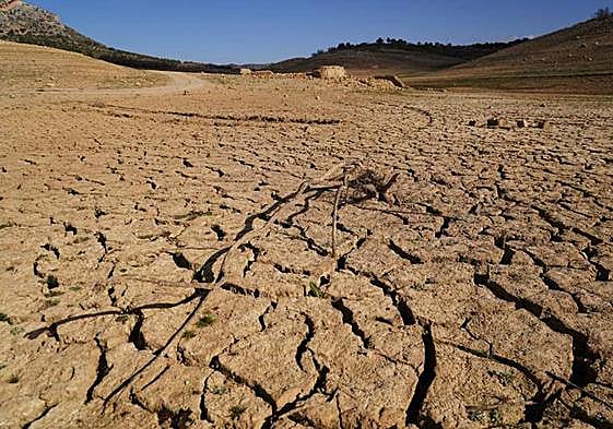Tierra roturada por la falta de humedad.