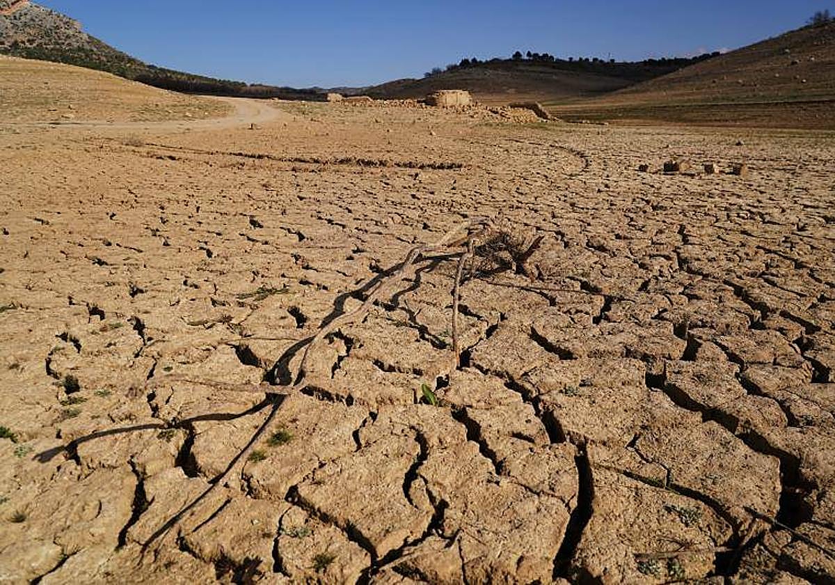 Tierra roturada por la falta de humedad.