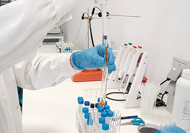 Laboratorio de Oscillum.