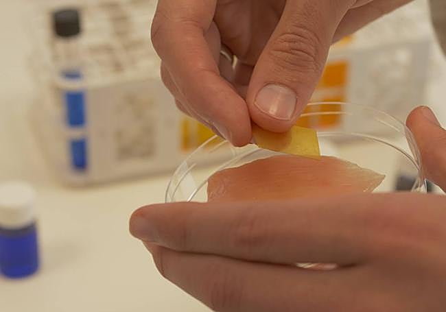 Cambio de color de la etiqueta con un trozo de pollo.