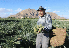 Los tres protagonistas de la campaña de la Asociación de la Alcachofa de la Vega Baja.