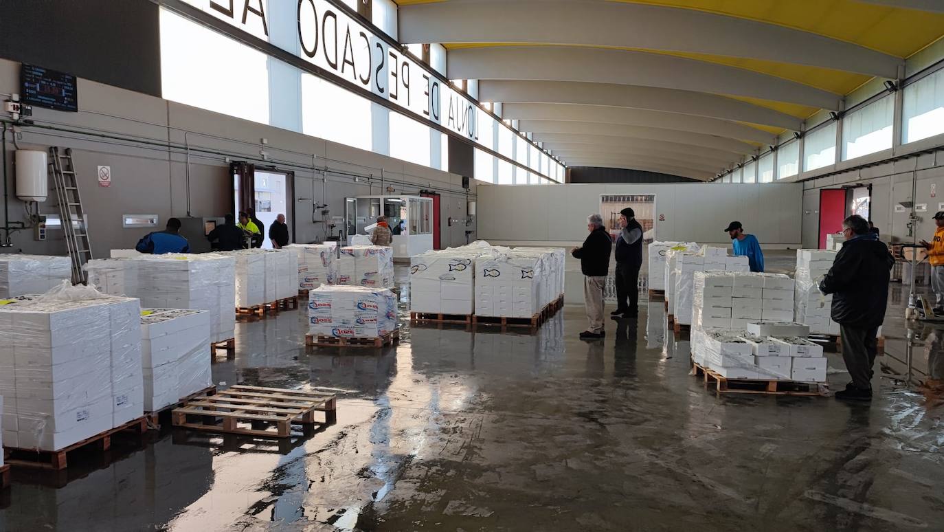 La Lonja de Alicante arranca y reserva espacio para un súper y un área de servicios