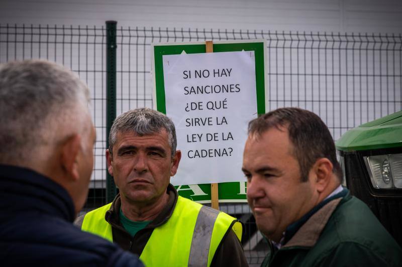 La marcha de tractores a Orihuela, en imágenes