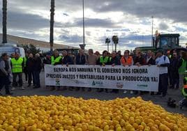 Agricultores protestan en San Isidro dejando caer cítricos desde un camión.