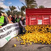 La marcha de tractores a Orihuela, en imágenes