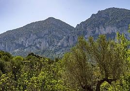 La Sellera vista desde Quatretondeta.