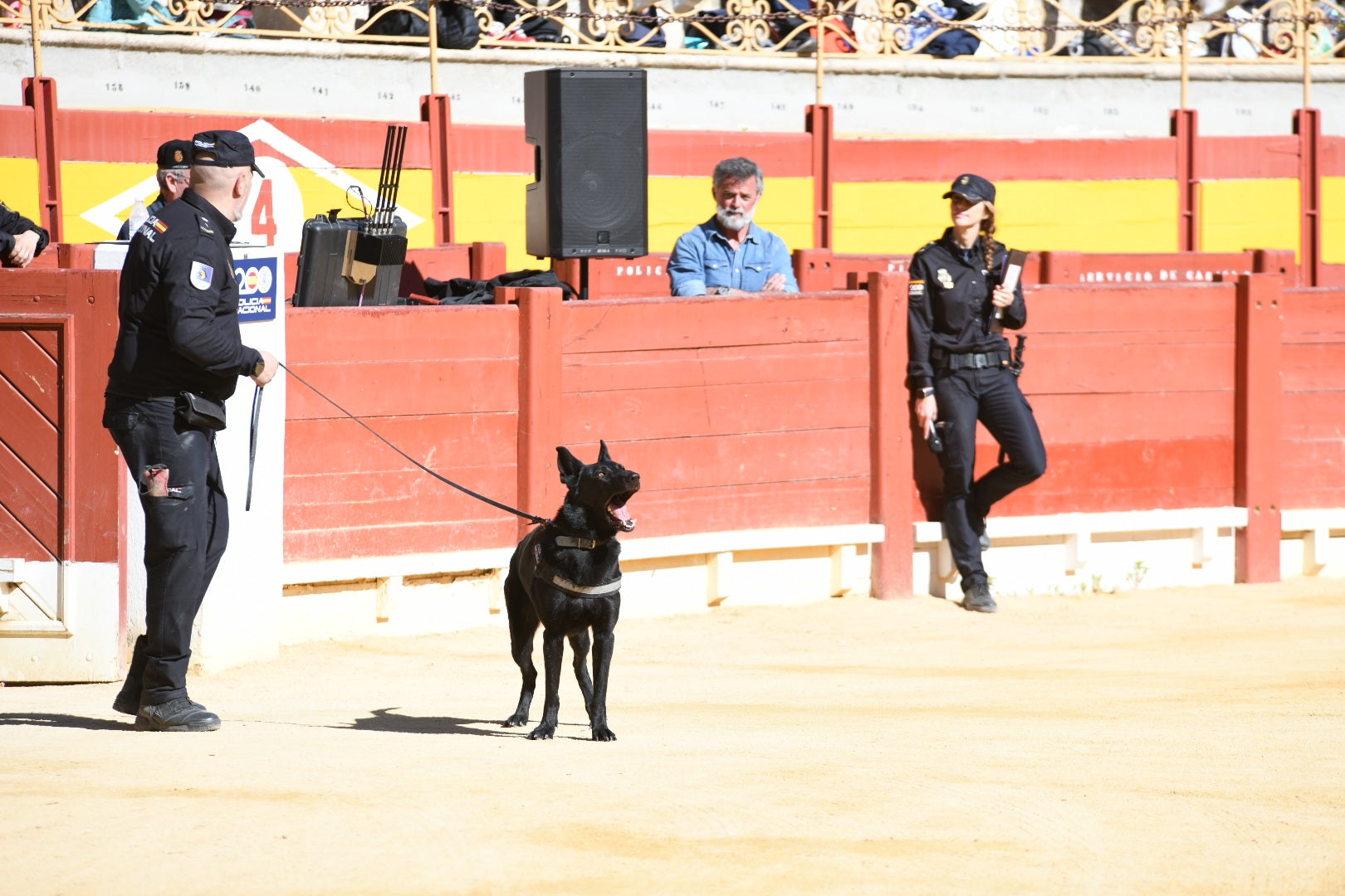 Imágenes de la espectacular exhibición de la Policía Nacional en Alicante