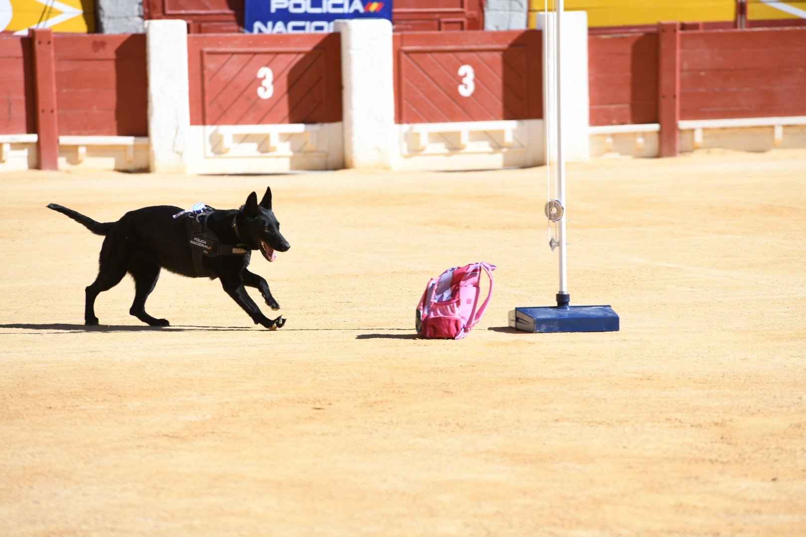 Imágenes de la espectacular exhibición de la Policía Nacional en Alicante