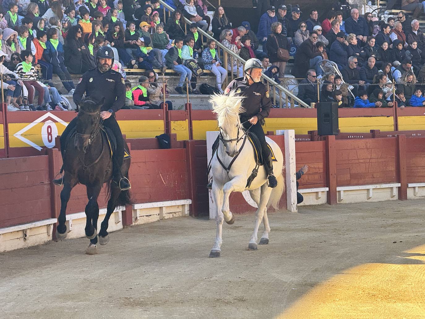 Imágenes de la espectacular exhibición de la Policía Nacional en Alicante