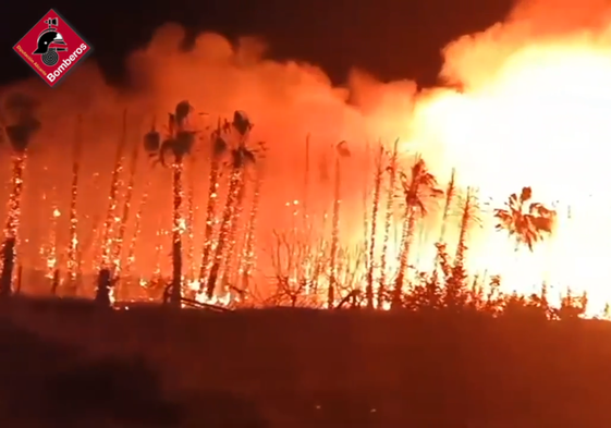 Imágenes del virulento incendio en San Fulgencio.
