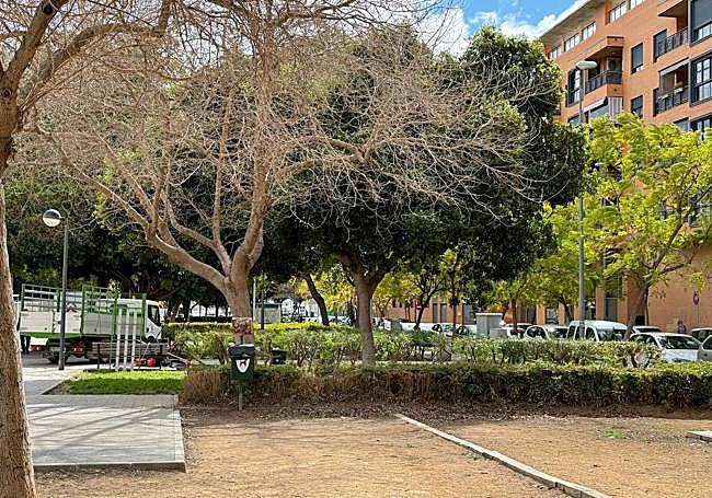 Una de las zonas verdes sobre la que se actuará.