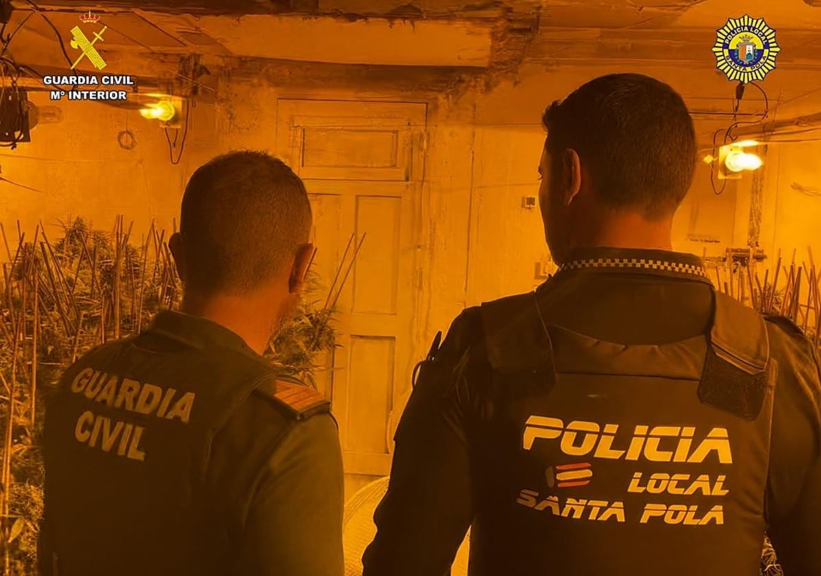 Un agente de la Guardia Civil y otro de la Policía Local de Santa Pola en la plantación de marihuana.