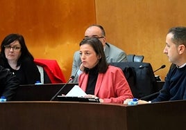 Cristina Escoda, portavoz del PSPV-PSOE, durante un pleno reciente