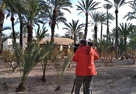 Uno de los rodajes en el Palmeral.