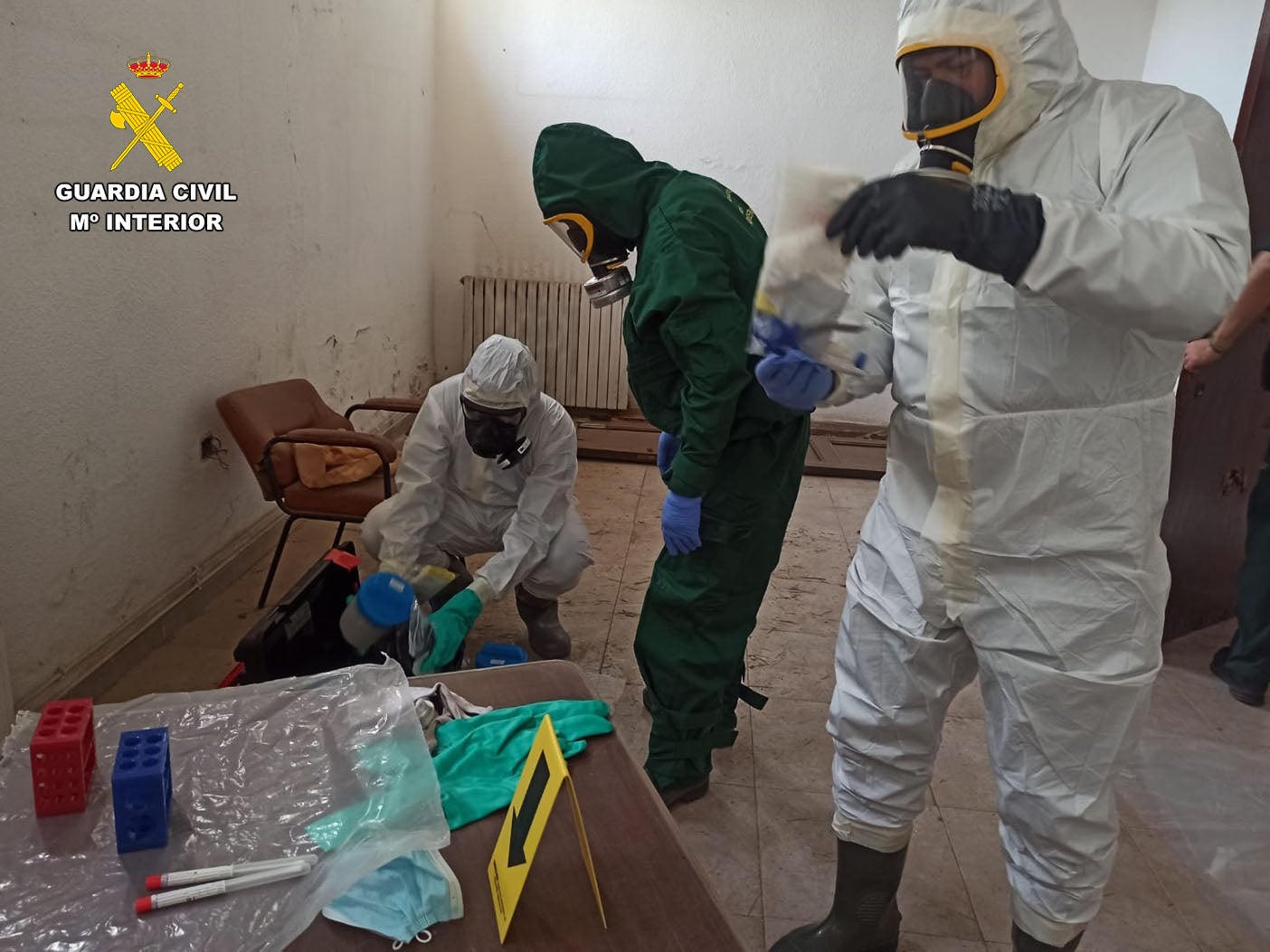 Imagen principal - Imágenes de las jornadas NRBQ realizadas en Valencia.