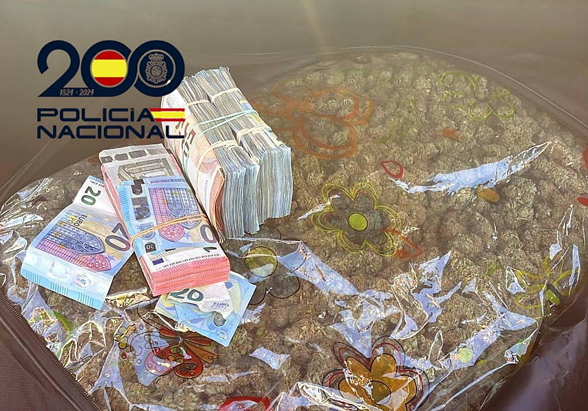 Material intervenido en el registro.