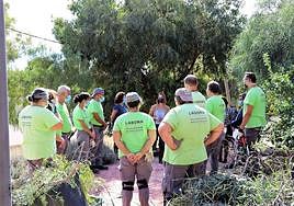 Uno de los cursos celebrados el pasado año