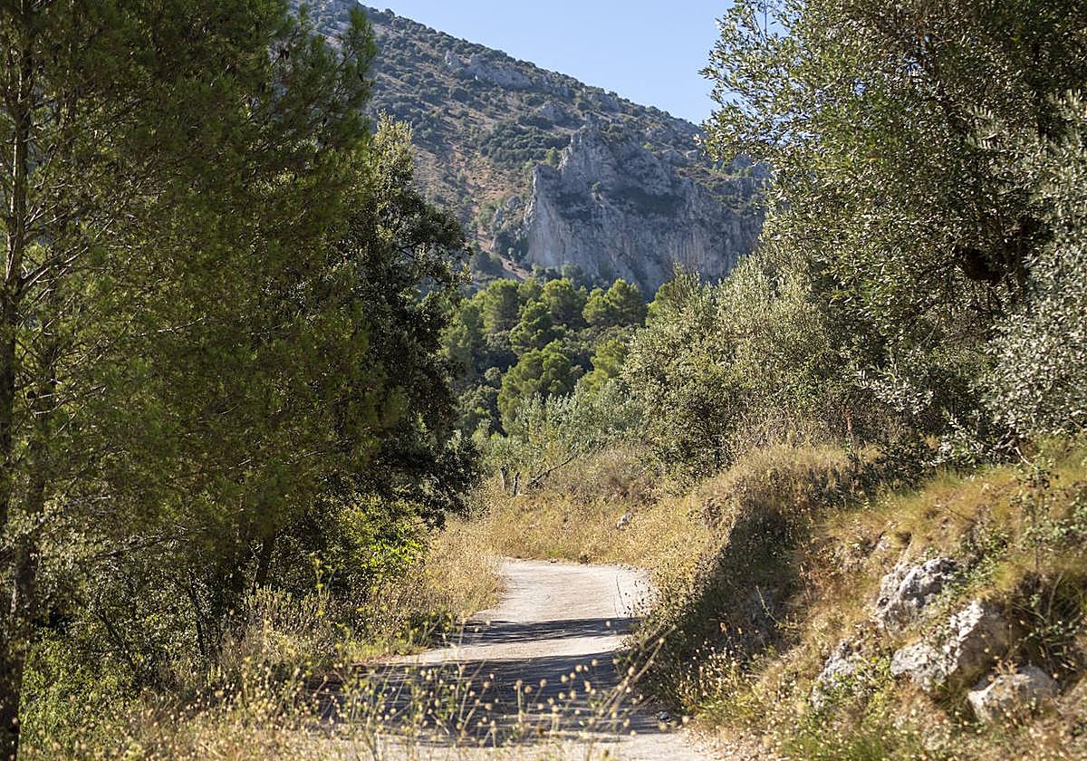 Camino rural rodeado por vegetación en un pueblo de la sierra alicantina.