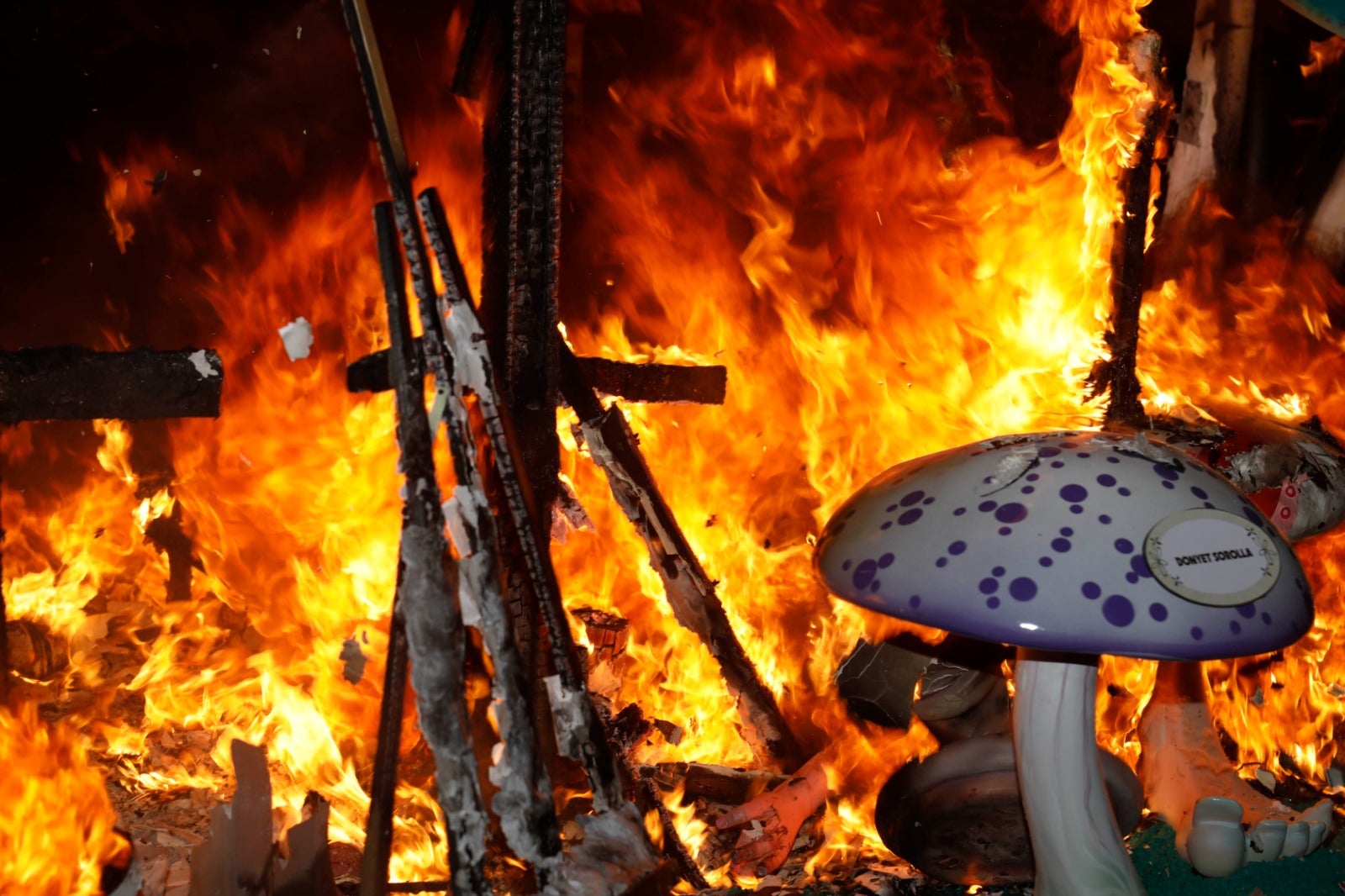 Dénia resplandece en la cremà de las Fallas