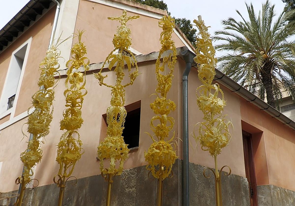 Palmas de Elche enviadas al papa y a los reyes.