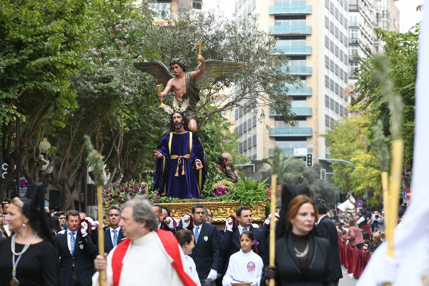 Palmas, ramas de olivo y los primeros pasos abren la carrera oficial de la Semana Santa alicantina