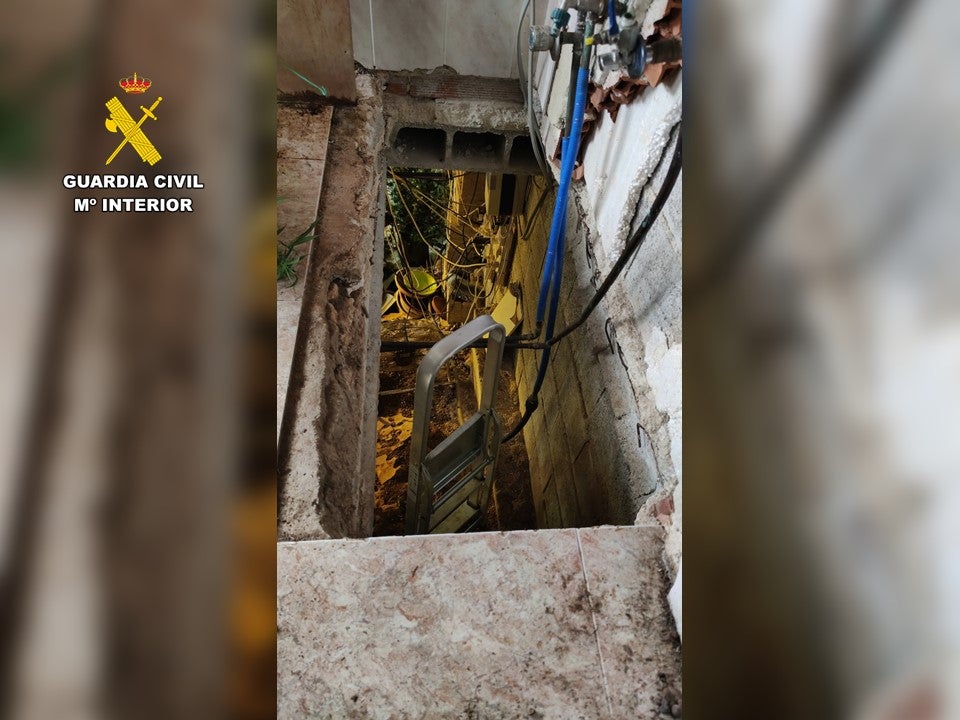 Una de las salas de cultivo de marihuana de la vivienda de Pedreguer.