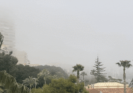 Cielo marcado por la calima, donde no se ve ni la Torre Alicante, ni el Gran Sol ni el Castillo de Santa Bárbara.