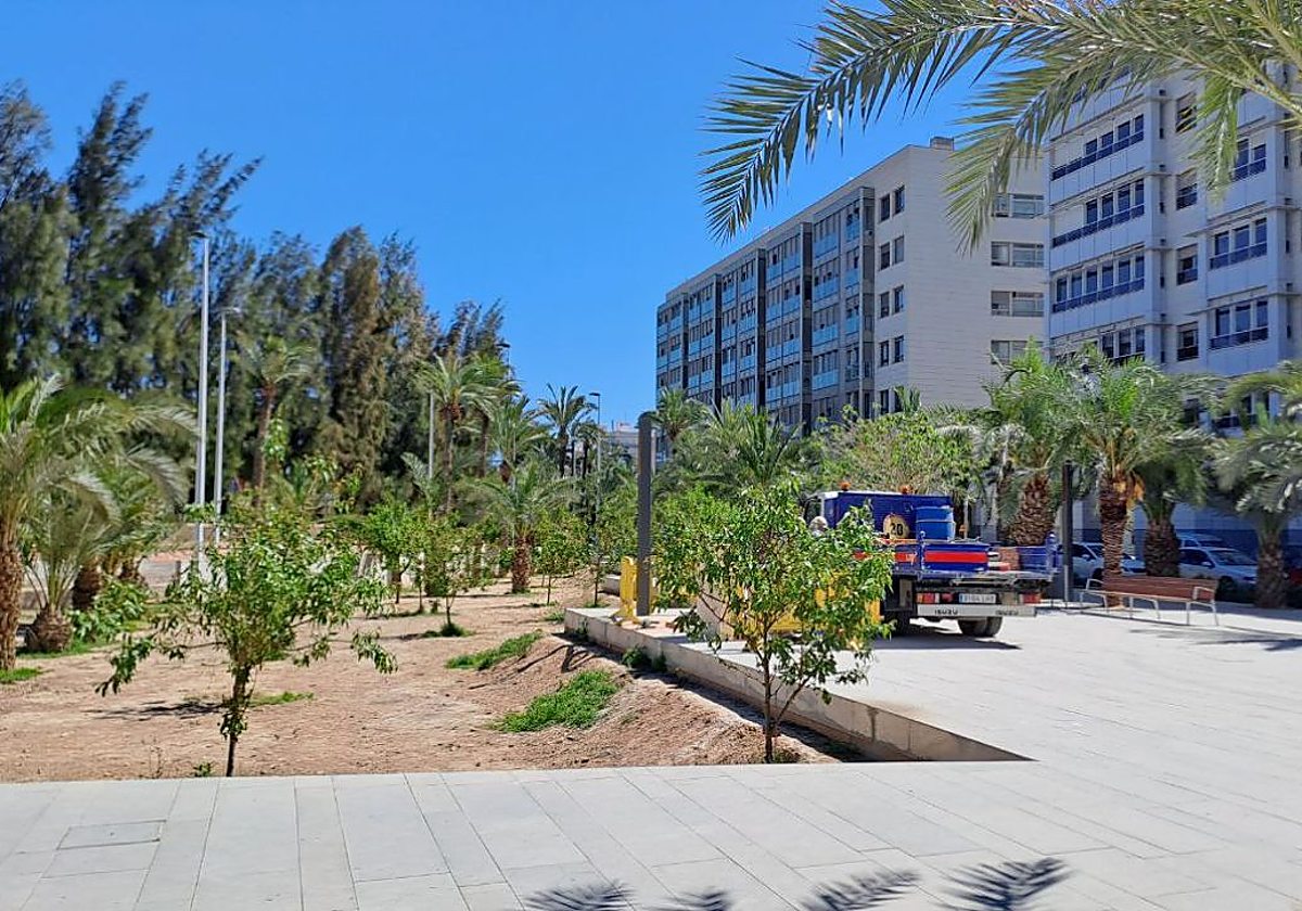 La parcela escogida por el Ayuntamiento.