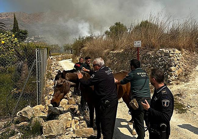 Policías locales, Guardia Civil y Bomberos durante la actuación de ayer sábado.